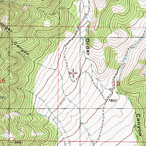 Topographic Map of Cougar Canyon, UT