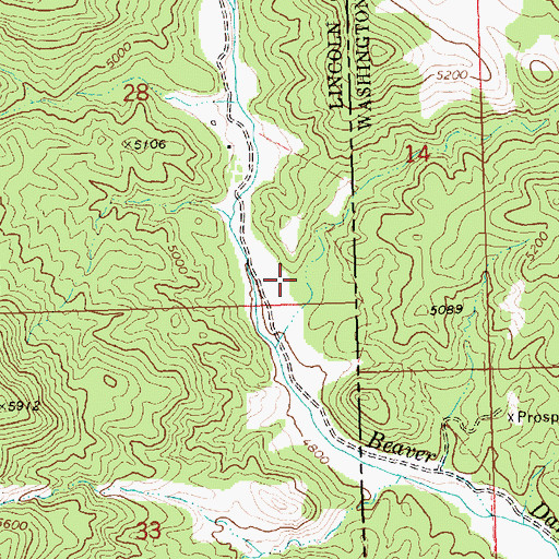 Topographic Map of Cougar Canyon, UT