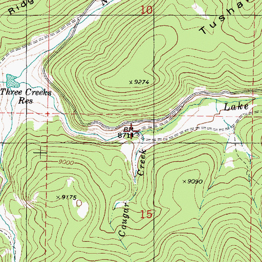 Topographic Map of Cougar Creek, UT