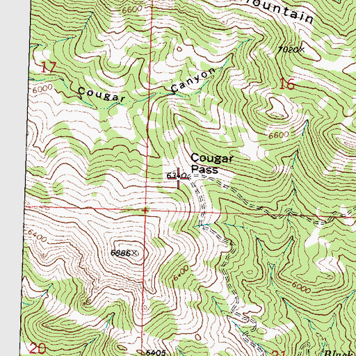 Topographic Map of Cougar Pass, UT