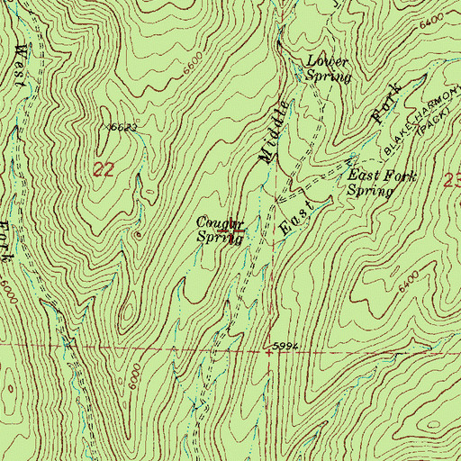 Topographic Map of Cougar Spring, UT