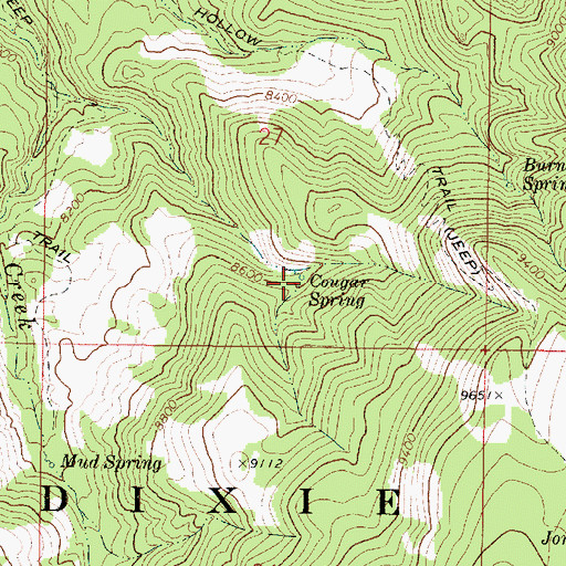 Topographic Map of Cougar Spring, UT