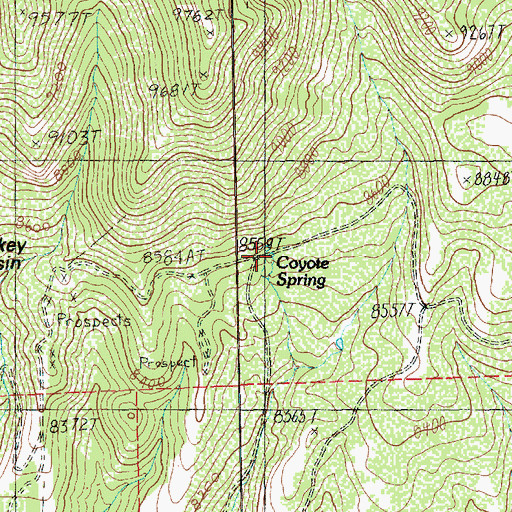Topographic Map of Coyote Spring, UT