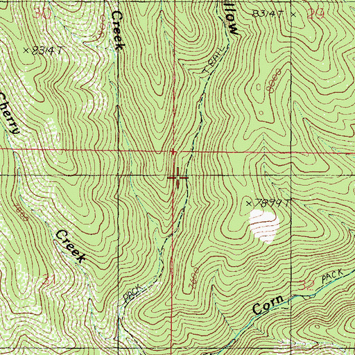 Topographic Map of Crazy Hollow, UT