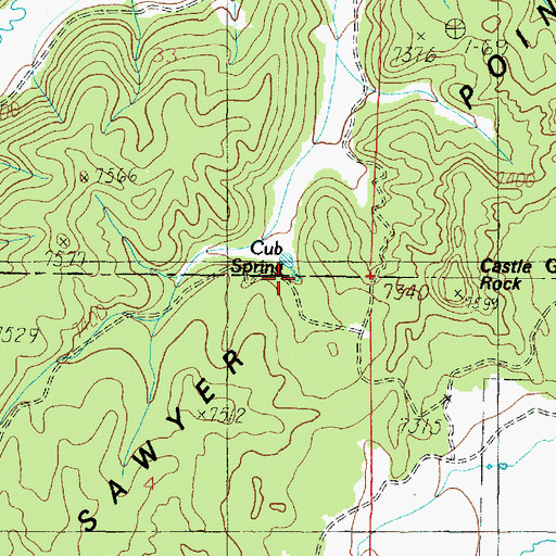Topographic Map of Cub Spring, UT