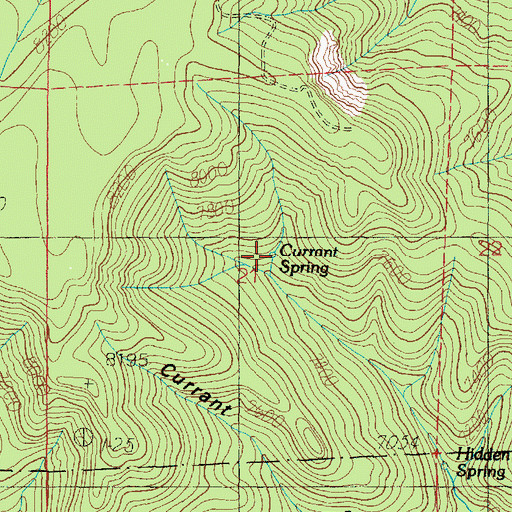 Topographic Map of Currant Spring, UT