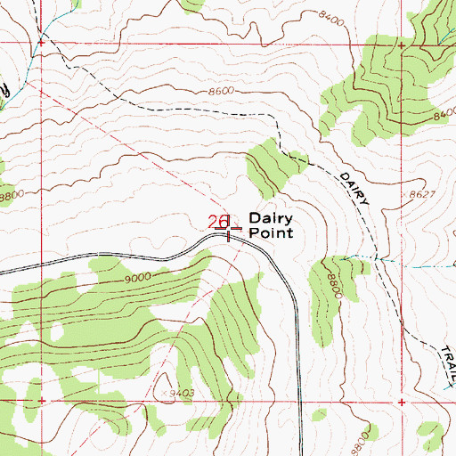 Topographic Map of Dairy Point, UT