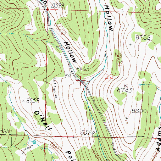 Topographic Map of Dan Leigh Hollow, UT