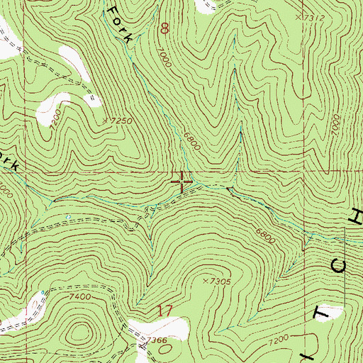 Topographic Map of Dells Fork, UT