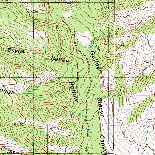 Topographic Map of Devils Hollow, UT