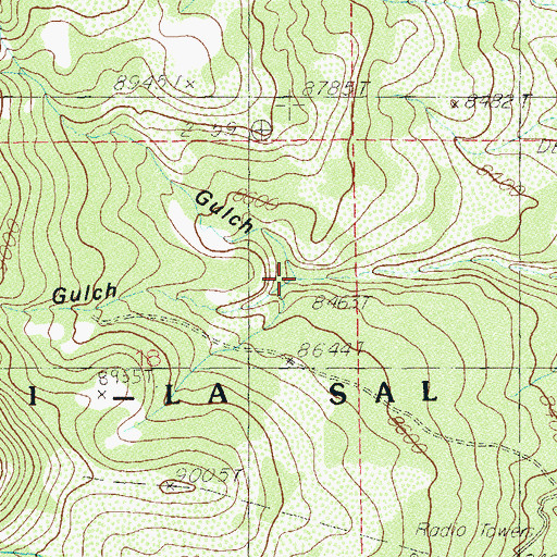 Topographic Map of Dickson Gulch, UT