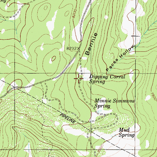 Topographic Map of Dipping Corral Spring, UT