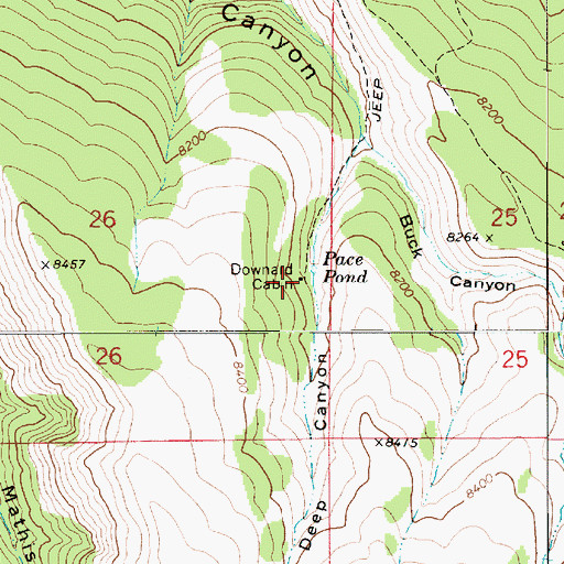 Topographic Map of Downard Cabin, UT