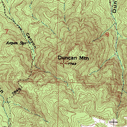 Topographic Map of Duncan Mountain, UT