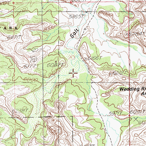 Topographic Map of East Fork Salt Creek, UT