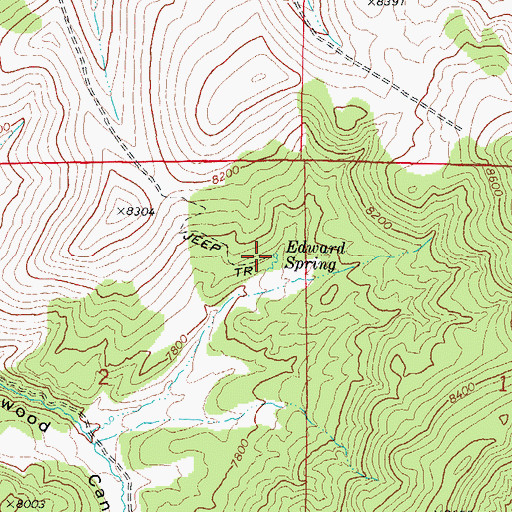 Topographic Map of Edward Spring, UT