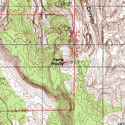 Topographic Map of Ferns Nipple, UT