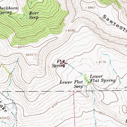 Topographic Map of Flat Spring, UT