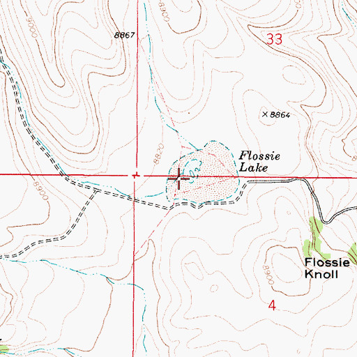 Topographic Map of Flossie Lake, UT