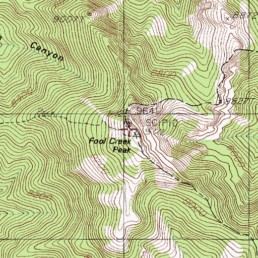Topographic Map of Fool Creek Peak, UT