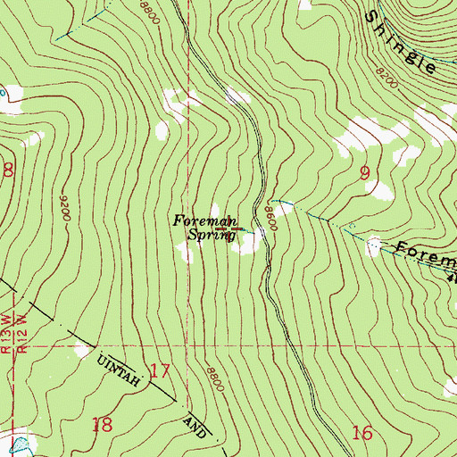 Topographic Map of Foreman Spring, UT