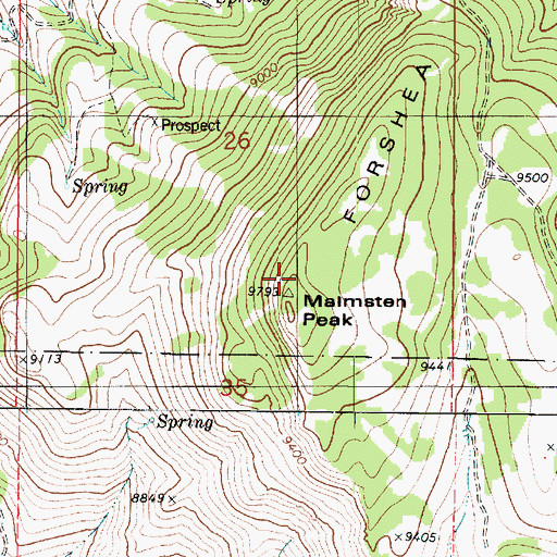 Topographic Map of Forshea Mountain, UT