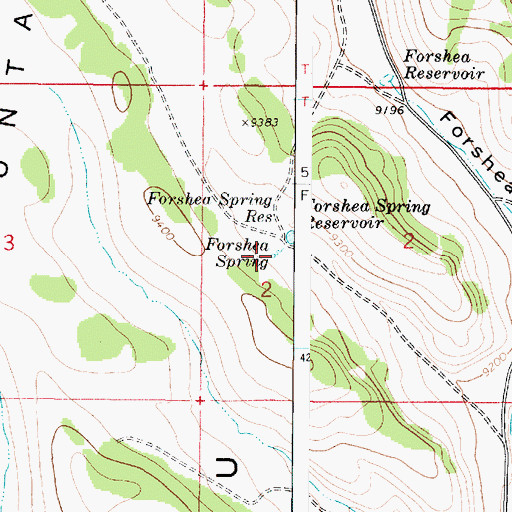 Topographic Map of Forshea Spring, UT