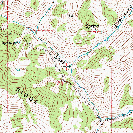 Topographic Map of Freestone Creek, UT