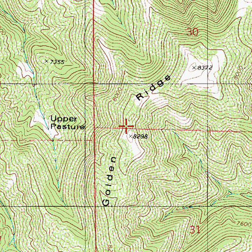 Topographic Map of Golden Ridge, UT
