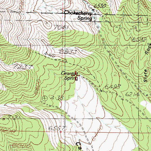 Topographic Map of Grantee Spring, UT