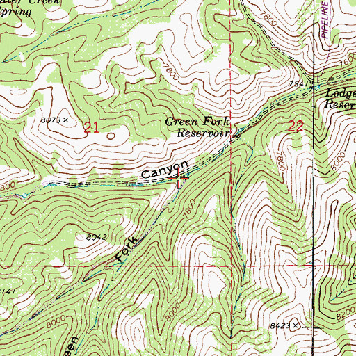 Topographic Map of Green Fork New Canyon, UT