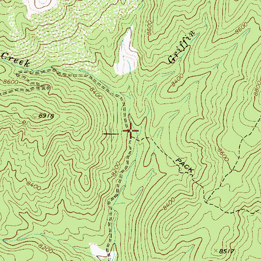 Topographic Map of Griffin Creek, UT