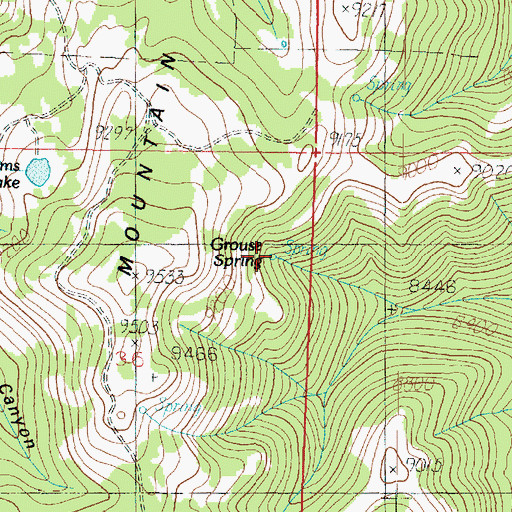 Topographic Map of Grouse Spring, UT