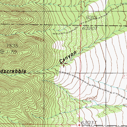 Topographic Map of Hardscrabble Canyon, UT