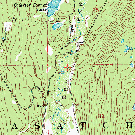 Topographic Map of Henrys Fork Park, UT