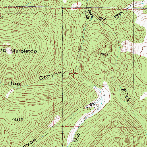 Topographic Map of Hop Canyon, UT
