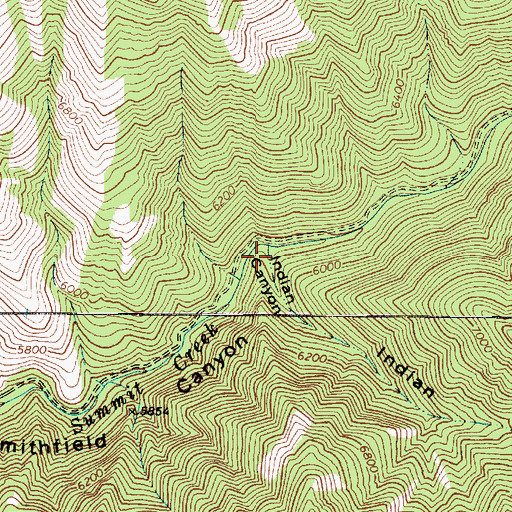 Topographic Map of Indian Canyon, UT