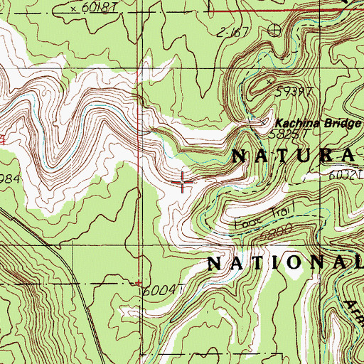 Topographic Map of Indian Foot, UT