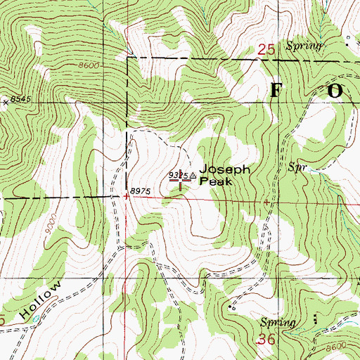 Topographic Map of Joseph Peak, UT