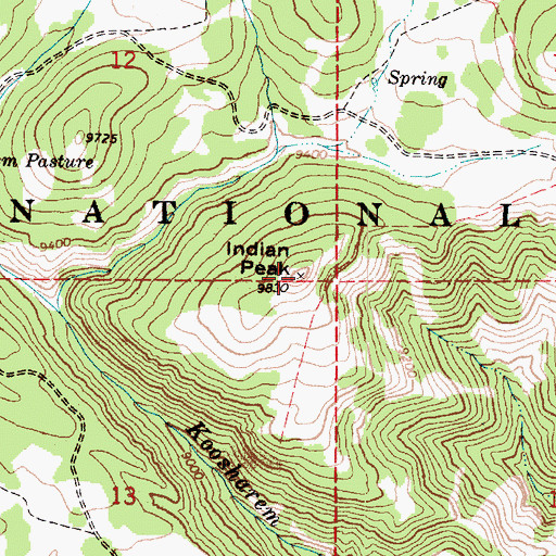 Topographic Map of Indian Peak, UT