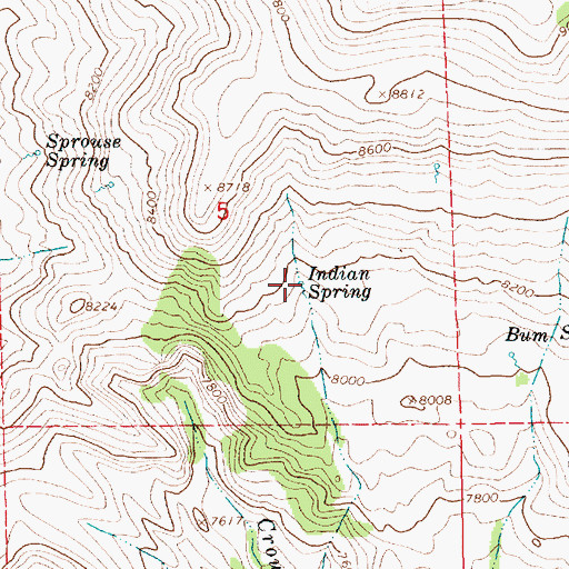 Topographic Map of Indian Spring, UT