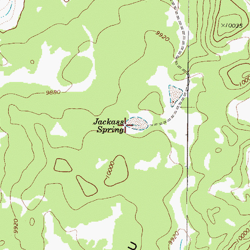 Topographic Map of Jackass Spring, UT