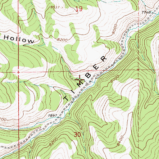 Topographic Map of Jackson Hollow, UT