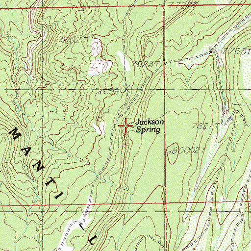 Topographic Map of Jackson Spring, UT