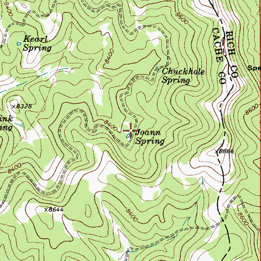 Topographic Map of Joann Spring, UT