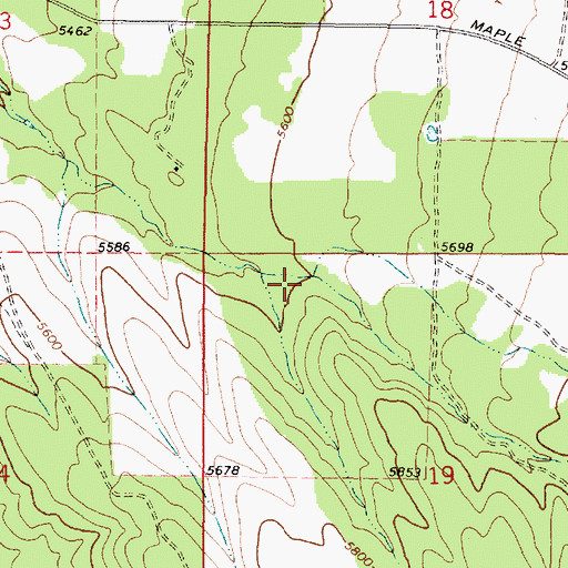 Topographic Map of Johnson Canyon, UT
