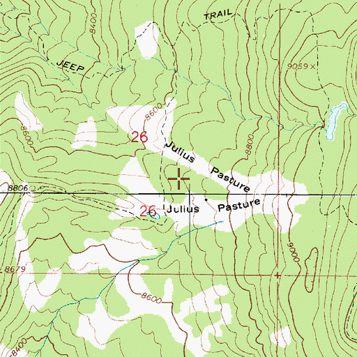 Topographic Map of Julius Pasture, UT