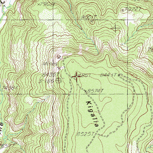 Topographic Map of Kigalia Point, UT