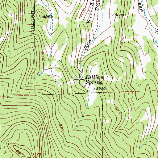 Topographic Map of Killian Spring, UT