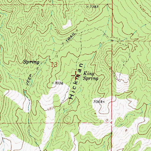 Topographic Map of King Spring, UT